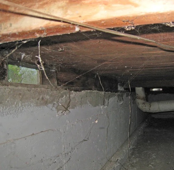 Crawlspace Water Damage Cleanup in Newton, MA