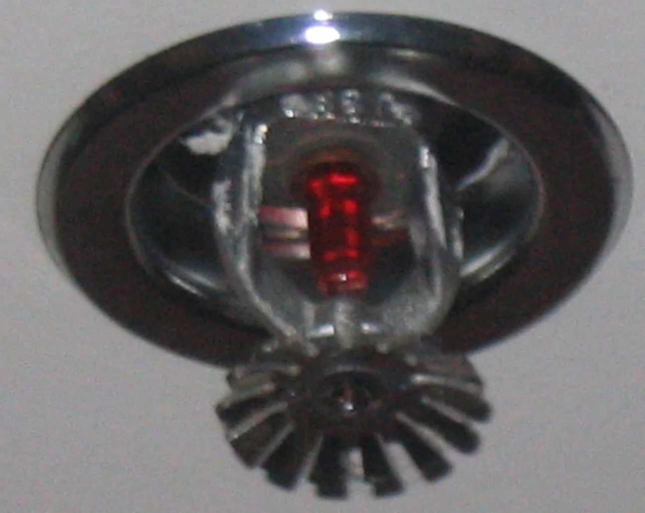 Fire Sprinkler Cleanup in Newton, MA
