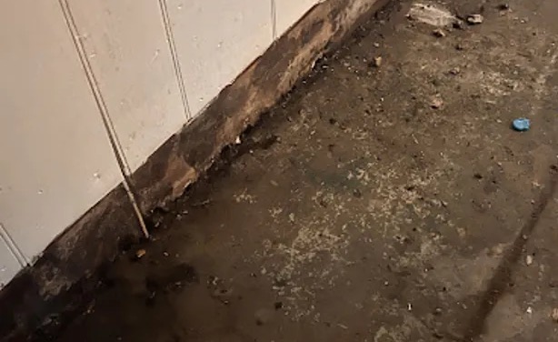Hoarding Cleanup in Newton, MA