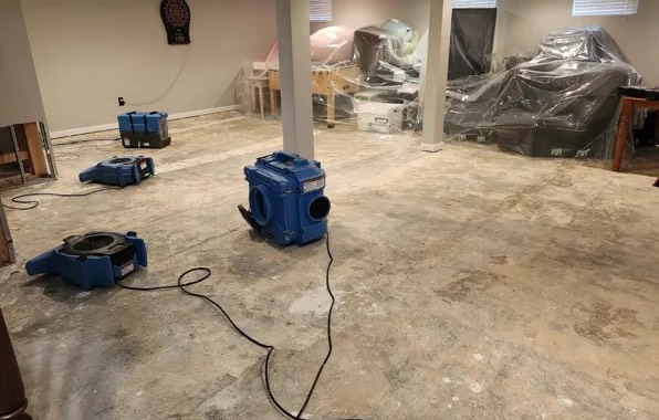 Deodorization Services in Newton, MA