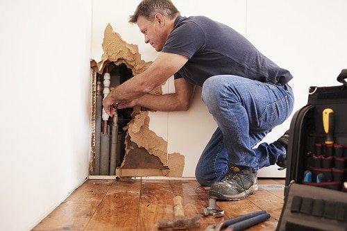 Your Local Water Damage, Fire Damage & Mold Remediation Experts